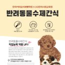 한국반려동물교육원 이미지