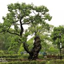 유당공원(주차장) 이미지