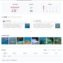 유영하는 언어-2 이미지