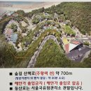 해상구조센터 화장실 | [서울근교여행] 무의도 자연휴양림 소이작도 후기 🌿주말 추첨 예약 및 숙소 후기 준비물 팁!