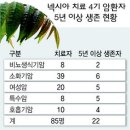 의료법인 일명의료재단 네이버블로그