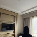 상해2일차_상하이 디즈니랜드/난징동루 미니소/레드립스/소양생전/상하이 맛집추천/홍쿠이지아 배달 후기