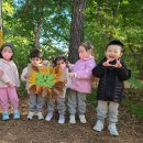 오금숲어린이집 이미지