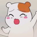 이룸핏 이미지