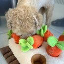 유앤퍼피 이미지