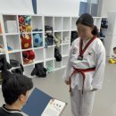 MTA라이온즈태권도 이미지