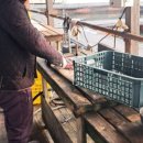 순정좌대 이미지