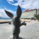 기양죽 어린이공원 | 부산 웨스틴조선호텔 후기: 플래티넘 혜택으로 즐긴 동백공원 뷰와 해운대 뷰 비교