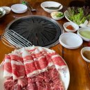 차돌이 네이버블로그