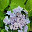 오성농원 이미지