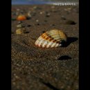 153공인중개사사무소 이미지