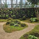 우리꽃식물원 이미지