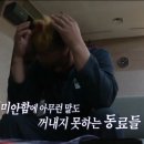 석정로 이미지
