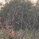 정원민박 이미지