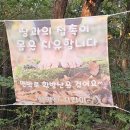 시례농장 Daum카페