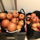 채령농장 이미지