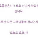 호호클린 이미지