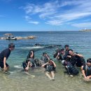 CHILL(칠)7 이미지