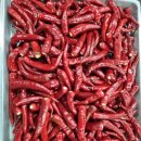 상조농장 이미지