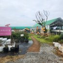 인디포레스트 | 용인 포레스트벨 후기 🐑 아이와 함께하는 동물체험 & 할로윈 포토존 !