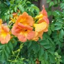 성현동-25 이미지