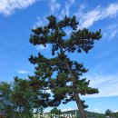 오산1리마을회관 이미지