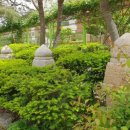 청운초등학교 이미지