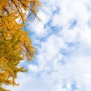 전주향교 이미지