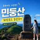 민둥산 최단코스 등산 후기｜5월말 초보자 산행 추천 (+주차 위치·조망 팁)