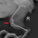 용원동물병원 이미지