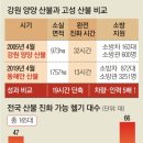 '산불 진화 지휘권' 어디에?.. 소방청-산림청 또 해묵은 기싸움 이미지