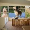 대성이앤에이 이미지