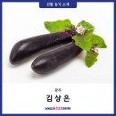 김상은농장 네이버블로그