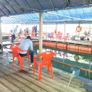 남용호좌대 이미지