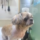 부천대학교 국제관 이미지