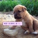 에이이미지 이미지