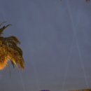 유니버셜링크 | 유니버셜 재팬 프리패스·확약권 실제 구매 후기 | 익스프레스 포함 놀이기구 사용 경험