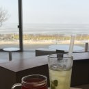 갈매기식당 이미지