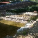 중앙식당민박 이미지