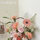 코지포레스트 - 안양시 동안구 학의로 90 | 코지포레스트
