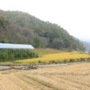 록원농장 이미지