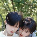 수연