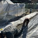 하루 피트니스 이미지