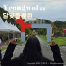 달빛에 물들이고 | 강원도 영월 가볼만한곳 달빛동물원