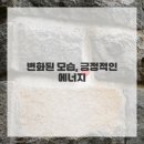 인생 미용실 네이버블로그