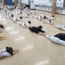 블랙벨트센터 기업 태권도장 이미지