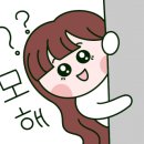 다원참치 이미지