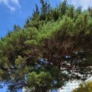 솔마루공원 이미지