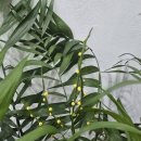 지(G)헤어 이미지