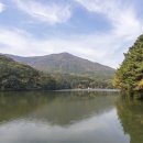 부산어린이대공원 티스토리